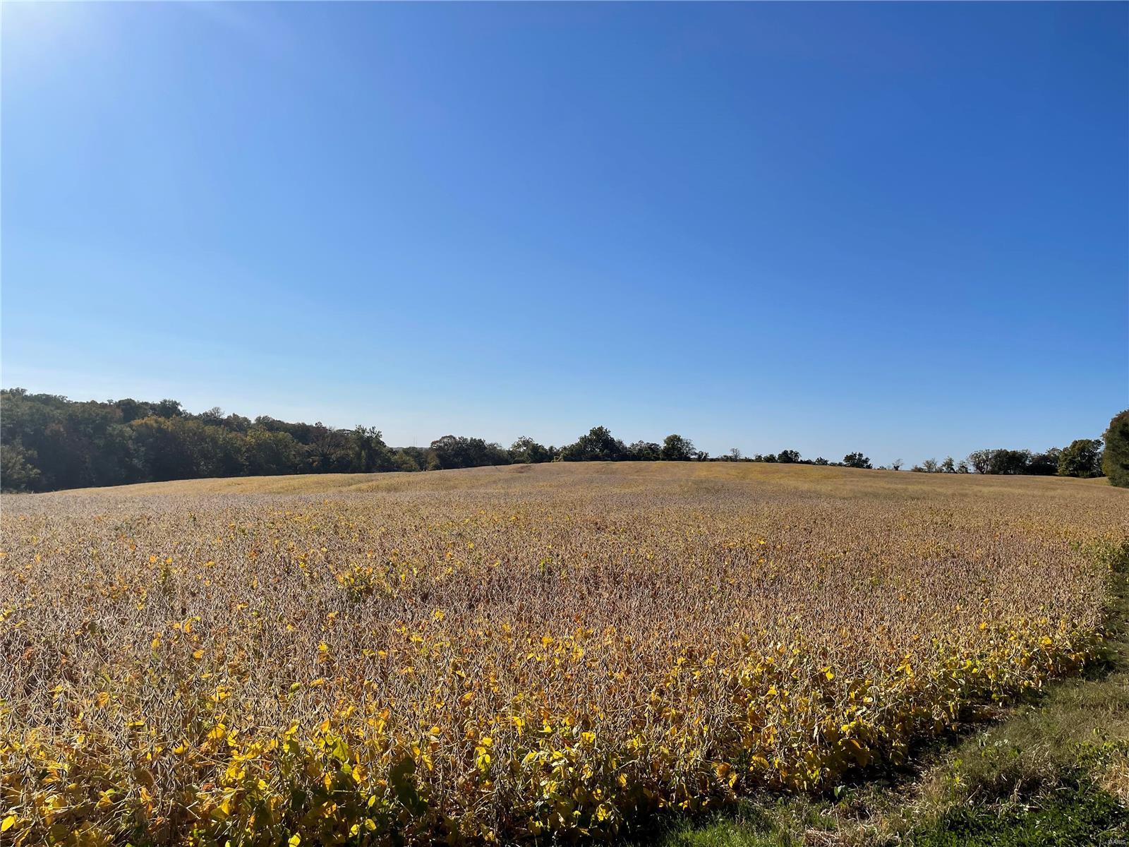 8706 Lakeview Hill Millstadt, IL 62260 - Photo 13 of 27