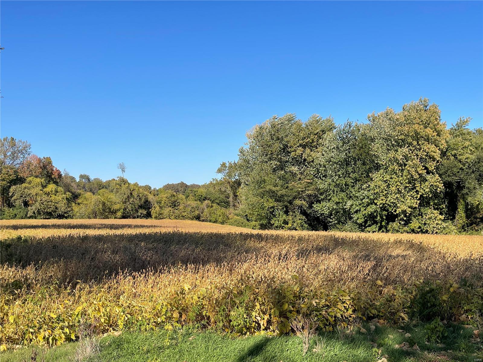 8706 Lakeview Hill Millstadt, IL 62260 - Photo 14 of 27