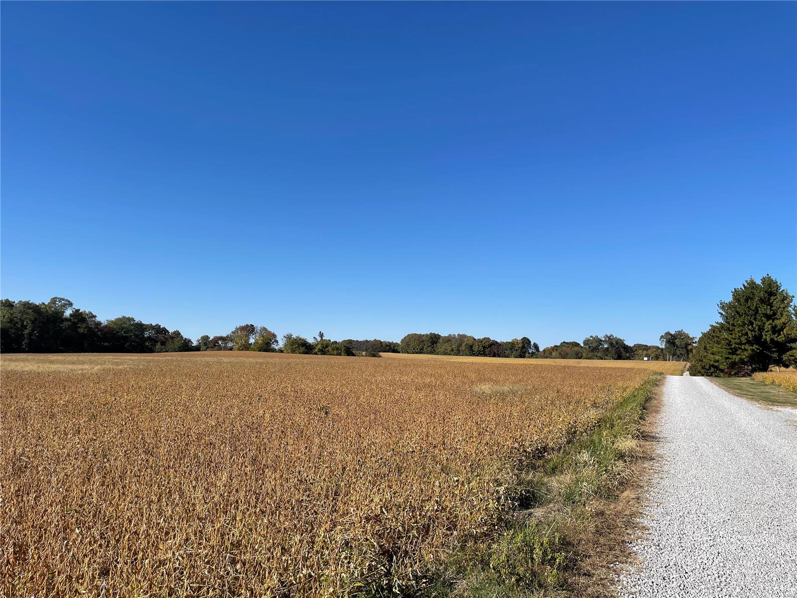 8706 Lakeview Hill Millstadt, IL 62260 - Photo 9 of 27