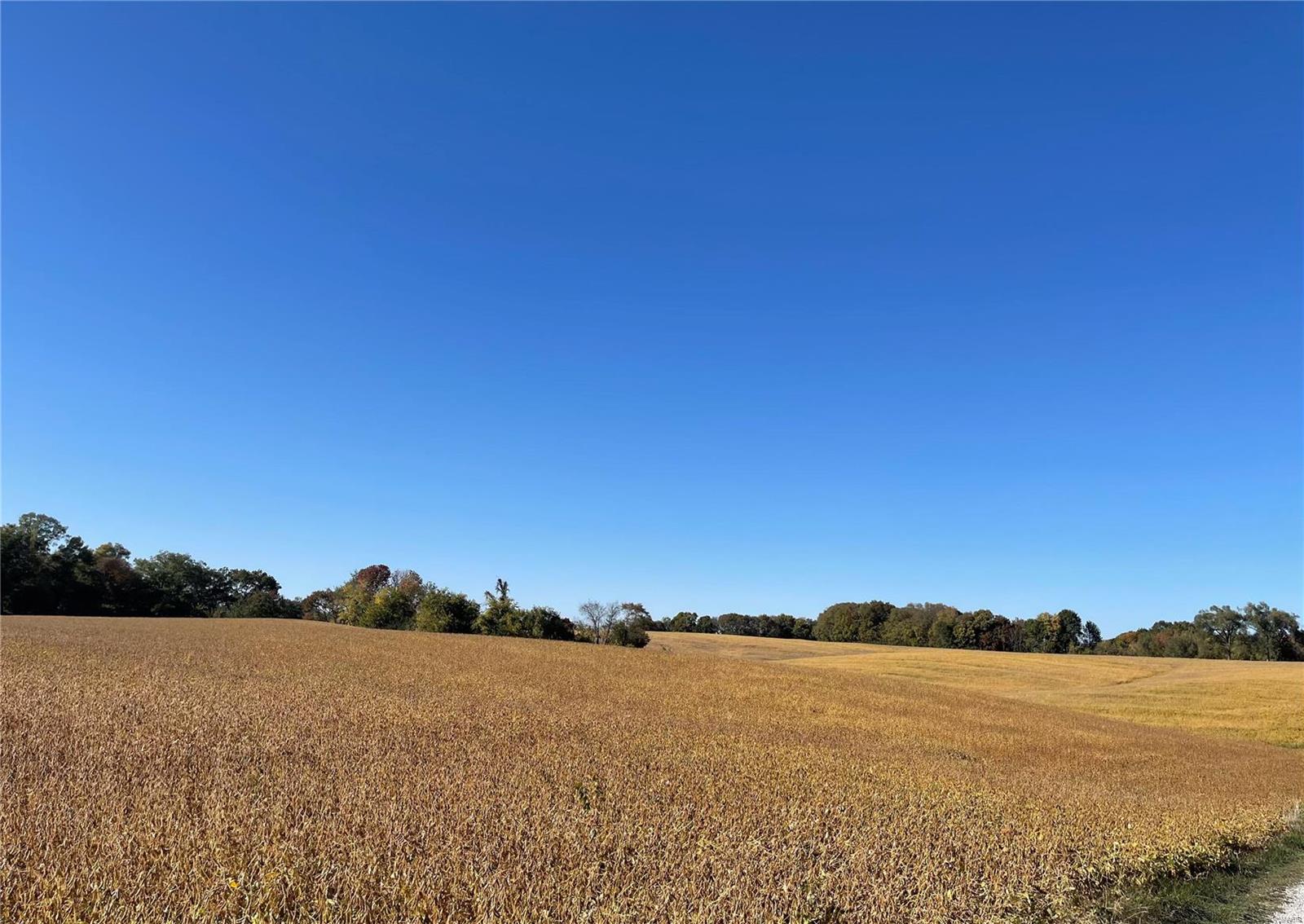 8706 Lakeview Hill Millstadt, IL 62260 - Photo 10 of 27