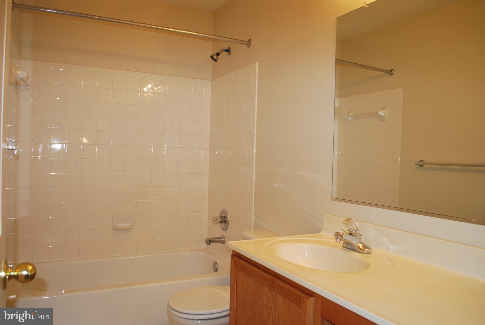 1413 Searchlight Way Mount Airy, MD 21771 - Photo 13 of 19 Bath