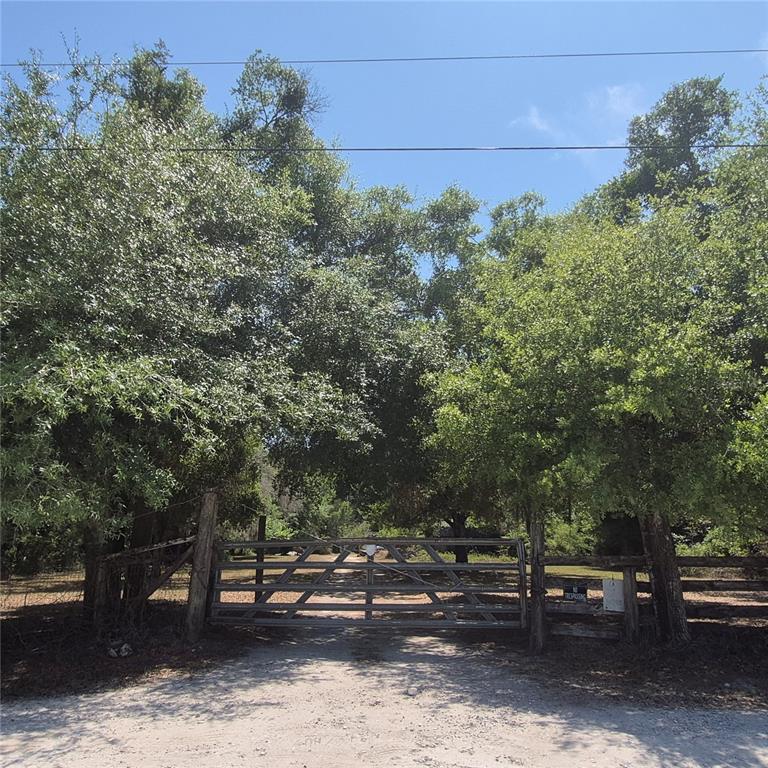 12858 Hialeah Avenue New Port Richey, FL 34654 - Photo 2 of 4