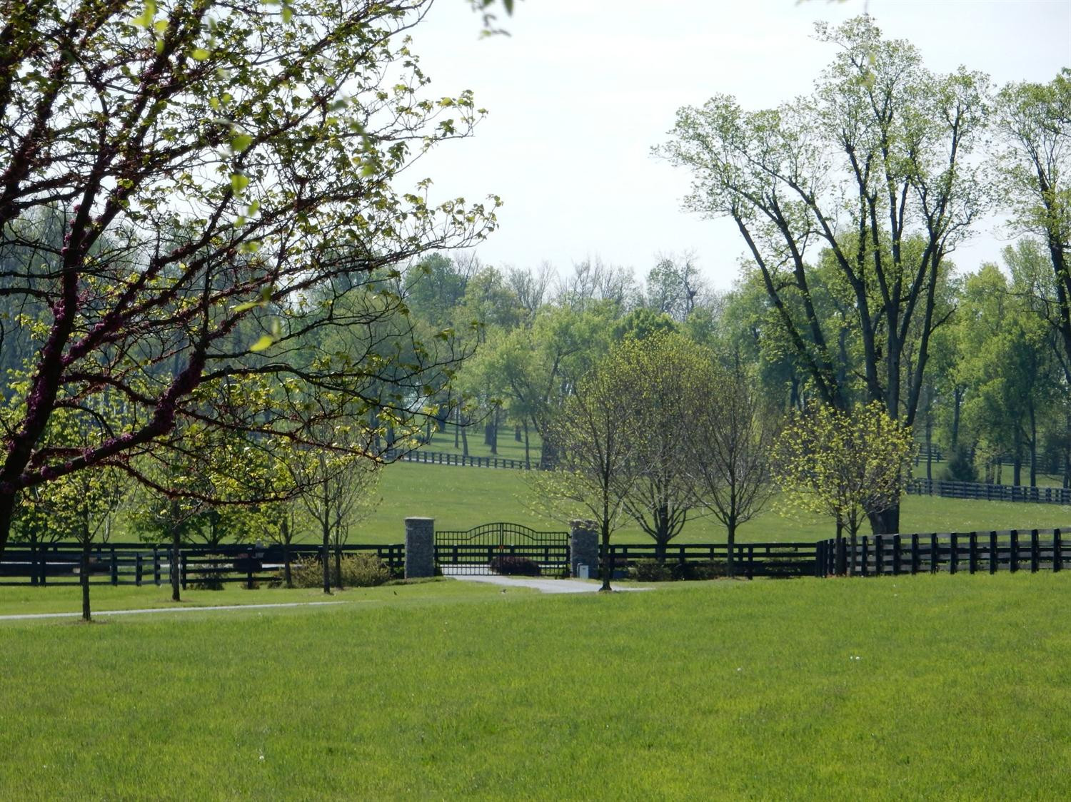 3175 Russell Cave Road Lexington, KY 40511 - Photo 67 of 68 Photo 67