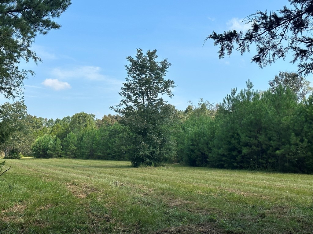 491 Holly Grv Road Lascassas, TN 37085 - Photo 1 of 3 Gallery Image 1