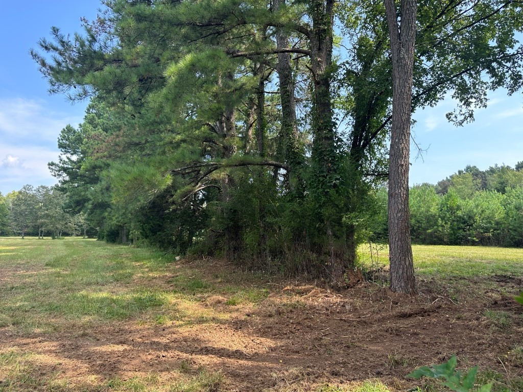 491 Holly Grv Road Lascassas, TN 37085 - Photo 2 of 3 Gallery Image 2