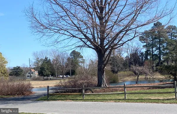 a view of a yard