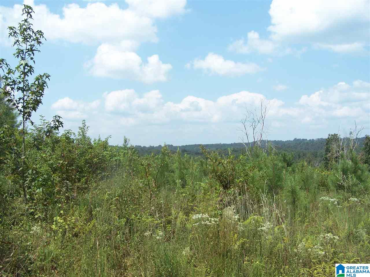 0 Jackson Trail, Unit 140 ACRES Altoona, AL 35952 - Photo 32 of 50