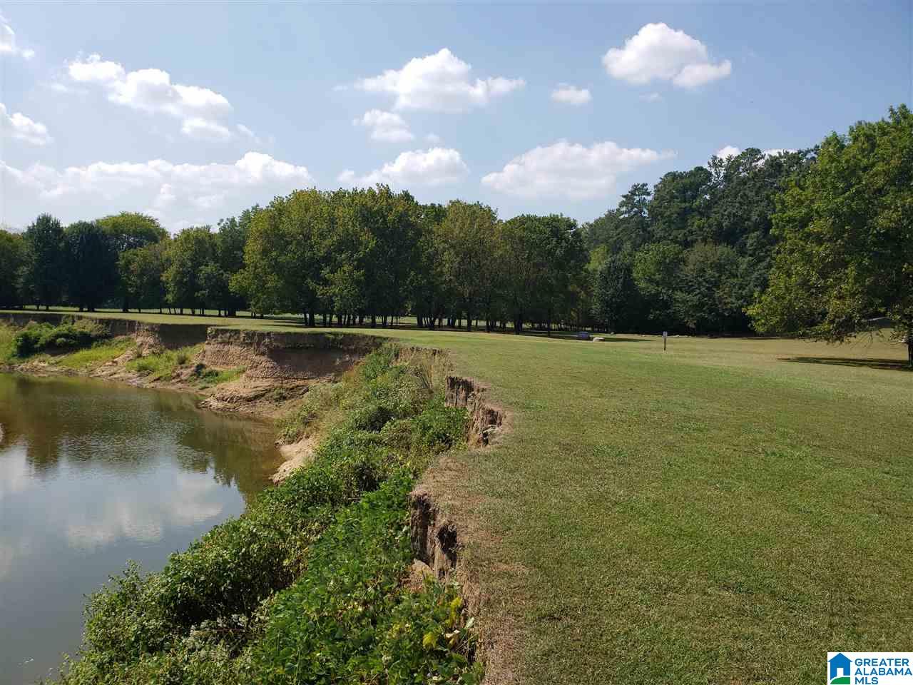 1003 Old Rocky Ridge Lane Birmingham, AL 35216 - Photo 29 of 31