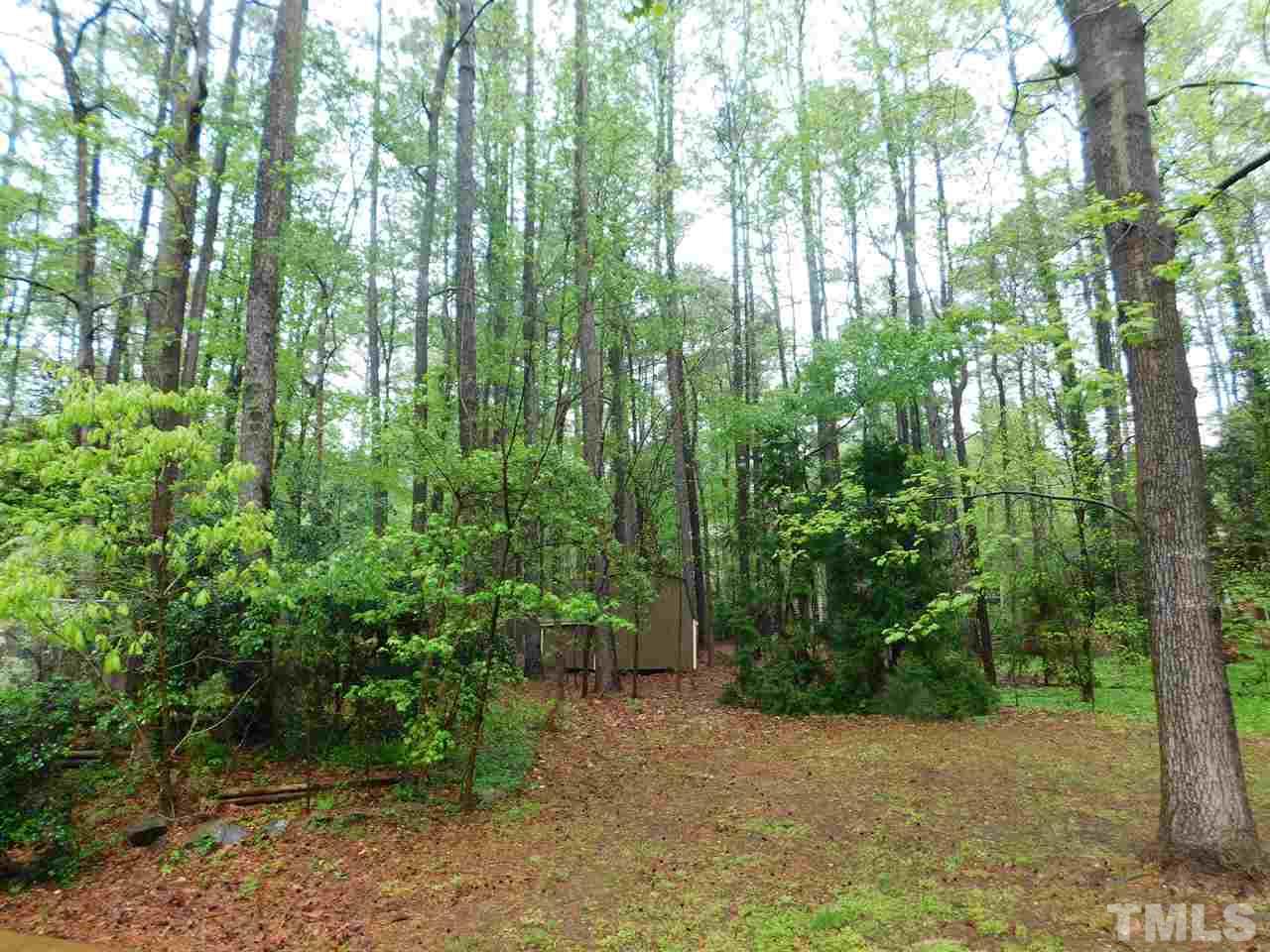3224 Brennan Drive Raleigh, NC 27613 - Photo 21 of 22 a view of backyard with green space