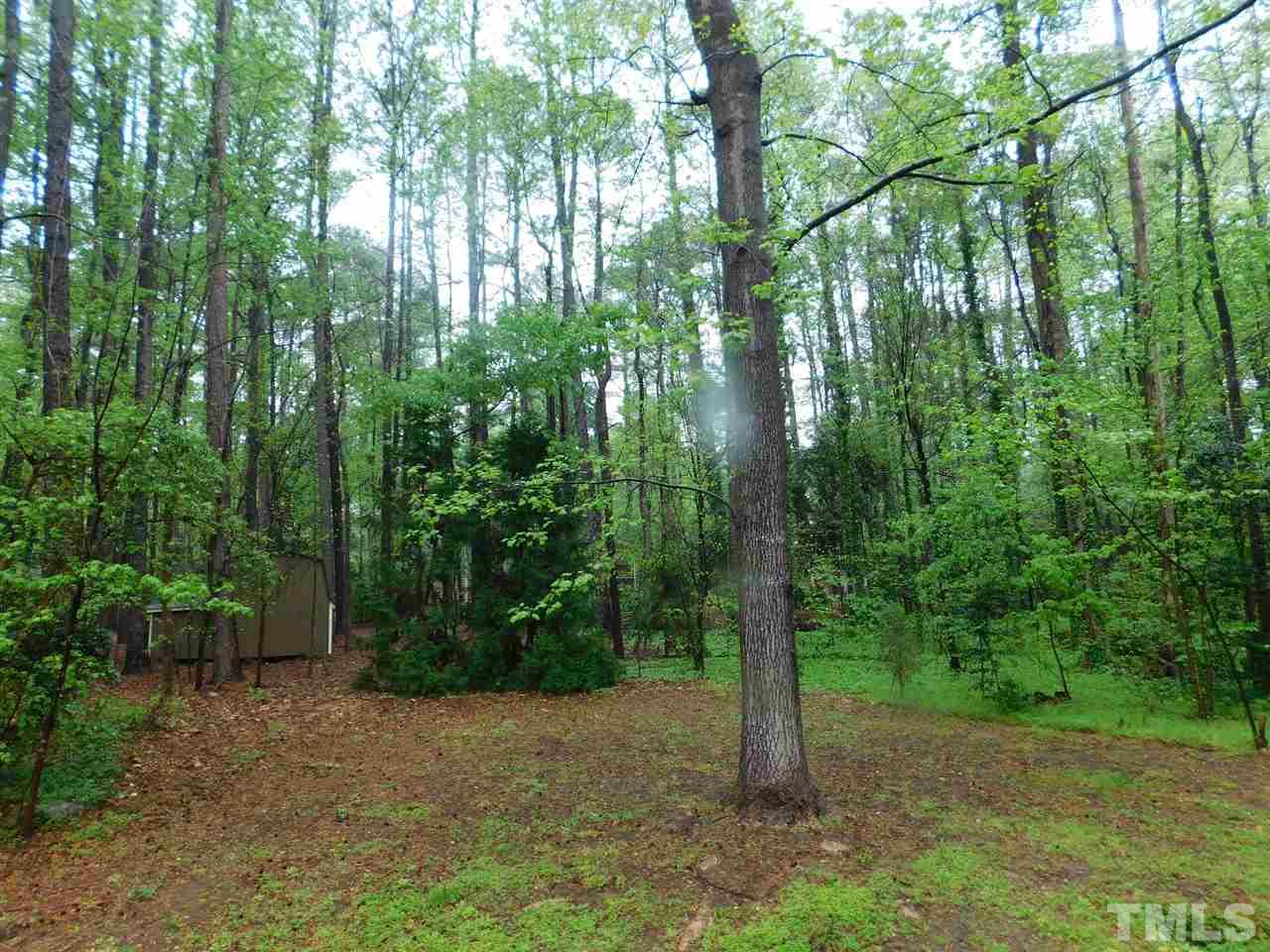 3224 Brennan Drive Raleigh, NC 27613 - Photo 22 of 22 a view of a forest with trees