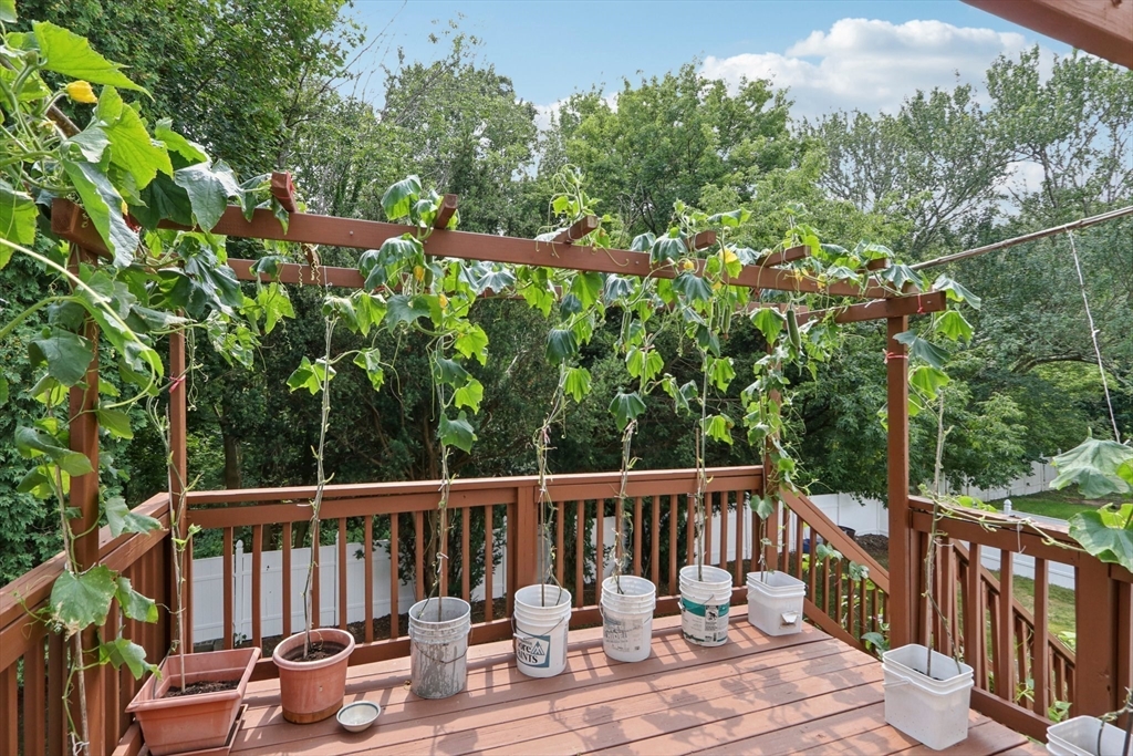 469 North Street Randolph, MA 02368 - Photo 35 of 42 a view of a deck