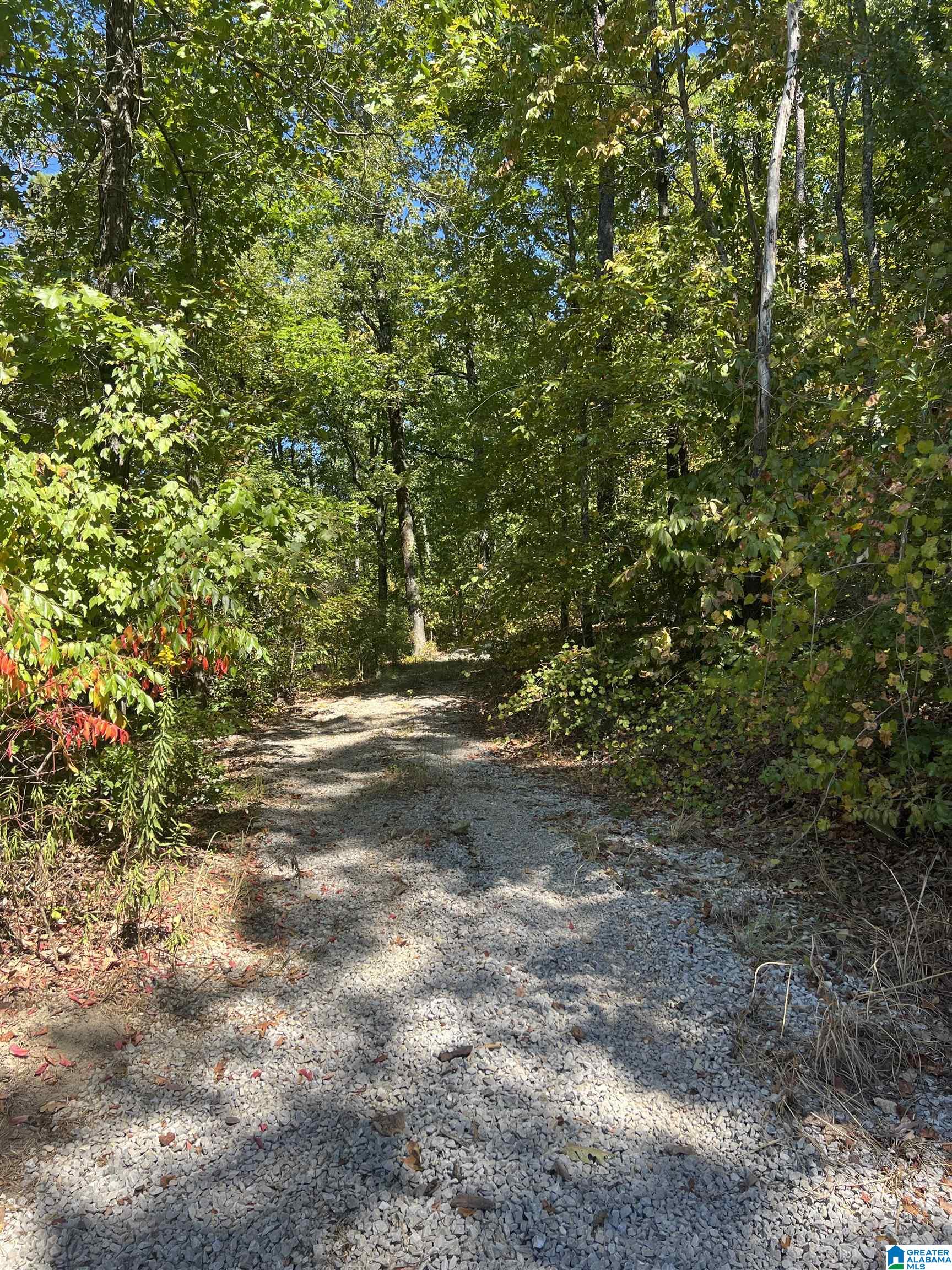 1028 Long Leaf Lake Drive, Unit 1 Bessemer, AL 35022 - Photo 2 of 6