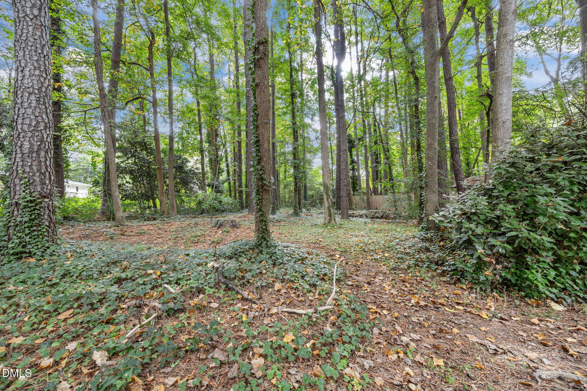 7716 Fiesta Way Raleigh, NC 27615 - Photo 33 of 41 45-web-or-mls-IMG_1587