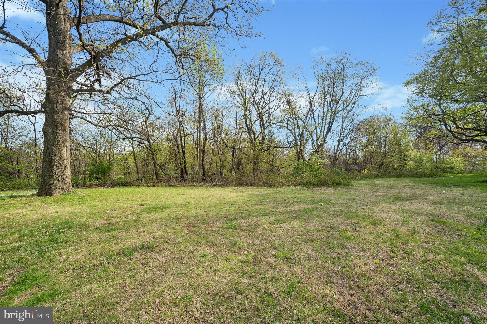 1008 East 18th Street Chester, PA 19013 - Photo 25 of 25 a view of outdoor space with yard and trees all around