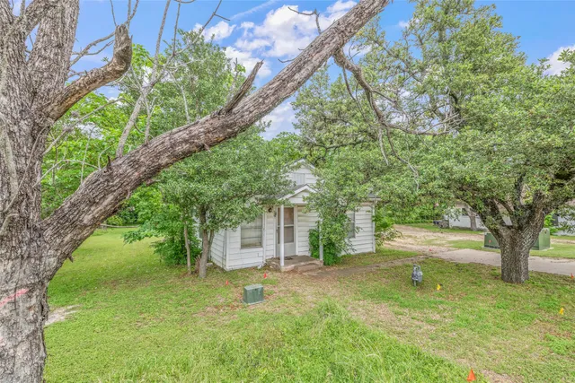 a view of a yard with plants and large trees