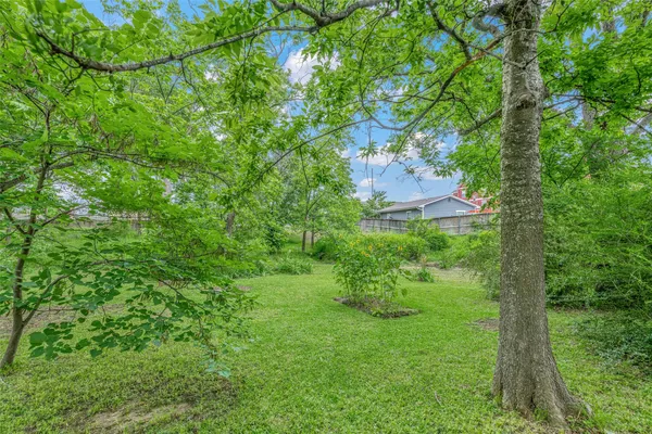 a view of a lush green space