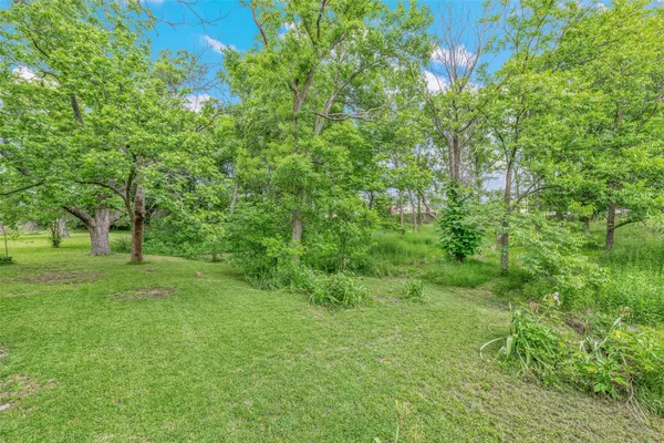 a view of a lush green space