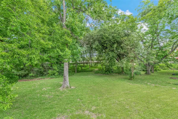 a view of a green field with lots of bushes