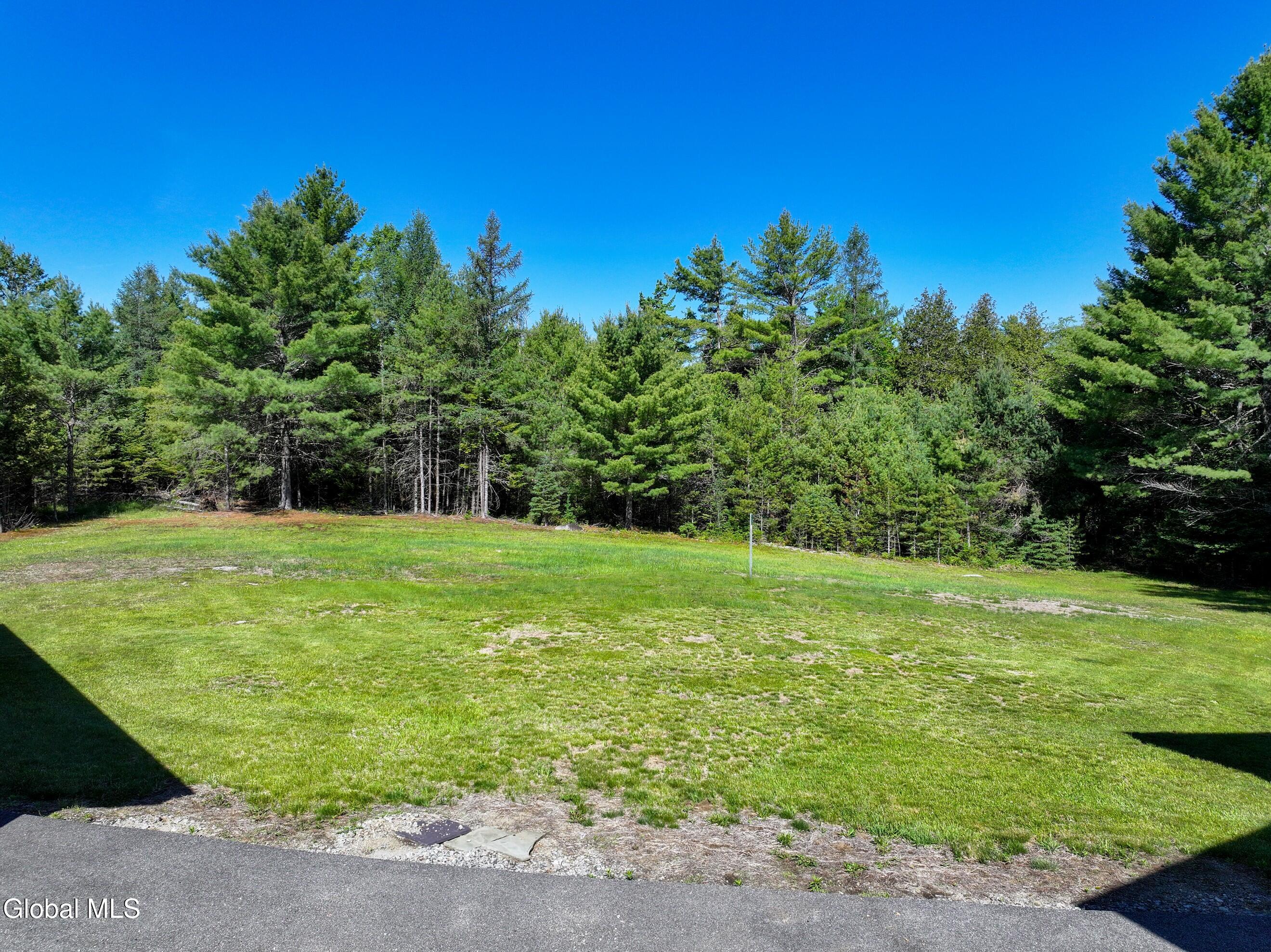 754 Church Road Minerva, NY 12857 - Photo 55 of 55 yard