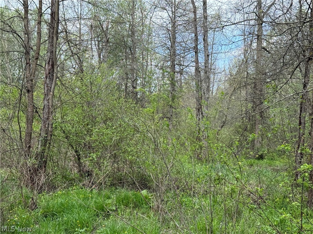 V/l Donley Road Middlefield, OH 44062 - Photo 4 of 30