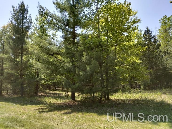 10441 Breezy R.22 Lane Rapid River, MI 49878 - Photo 4 of 5