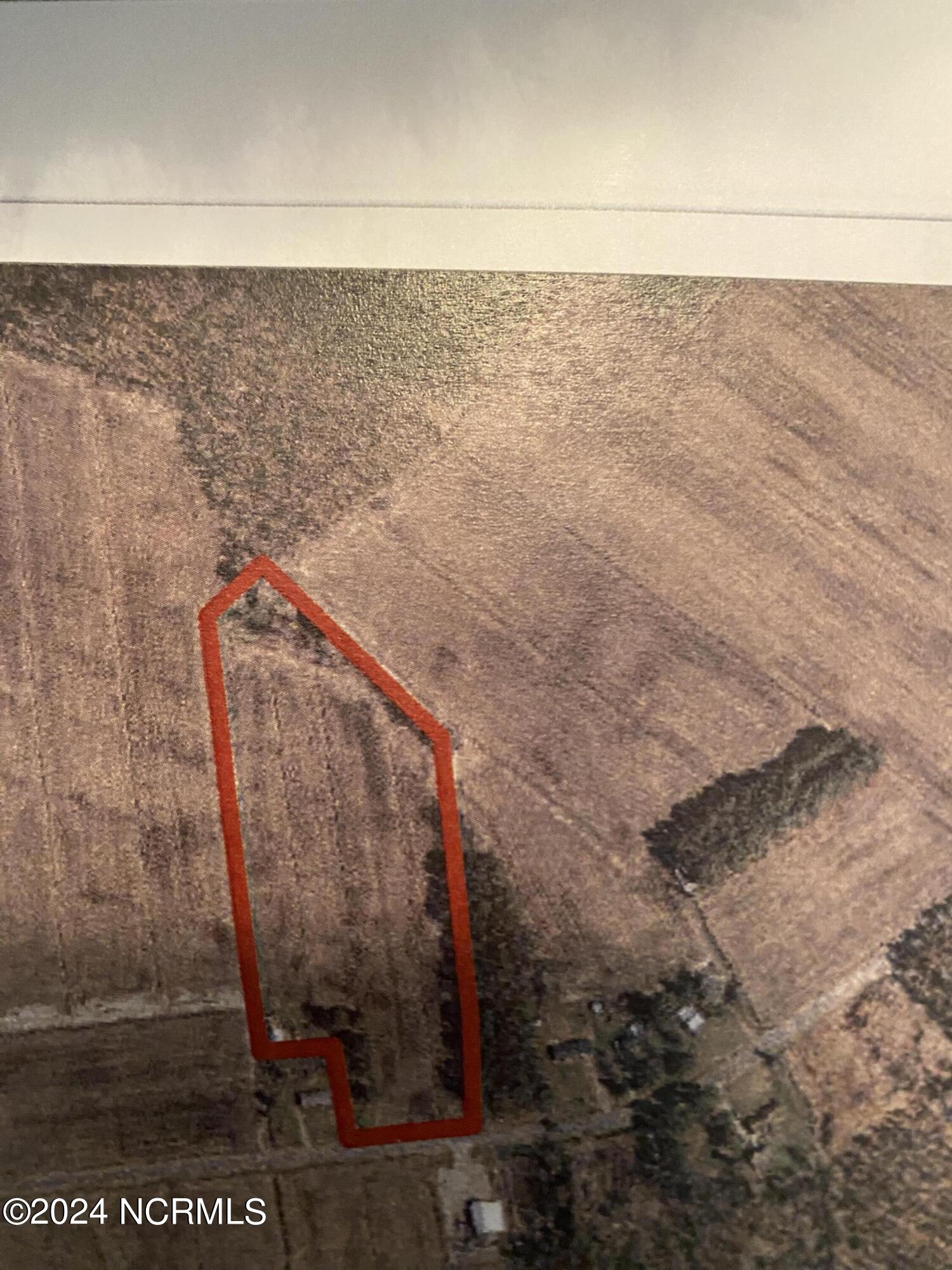 2323 Burbage Road Belhaven, NC 27810 - Photo 12 of 21 IMG_6334