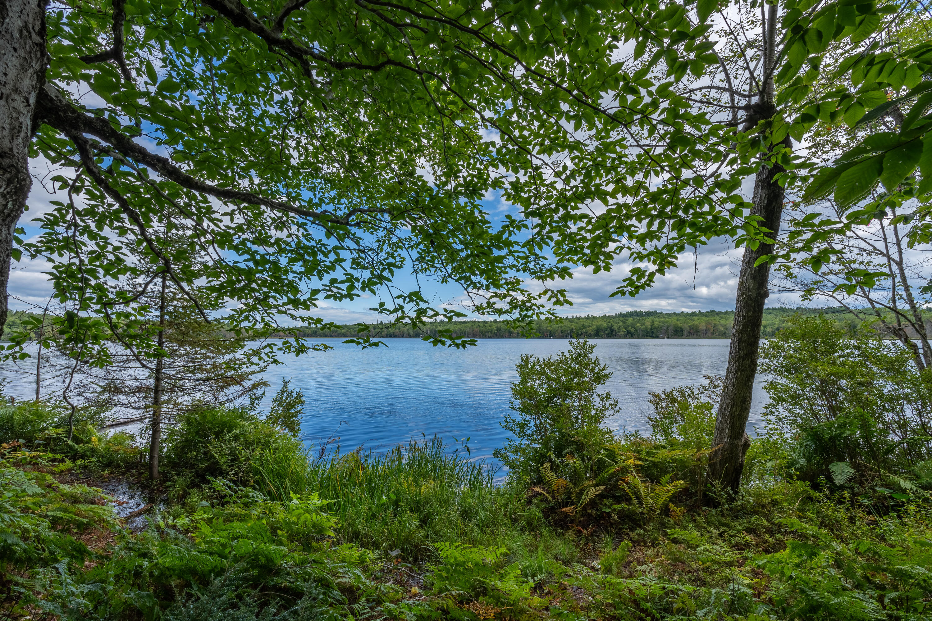 47 Pine Drive Otisfield, ME 04270 - Photo 2 of 29 Moose Pond