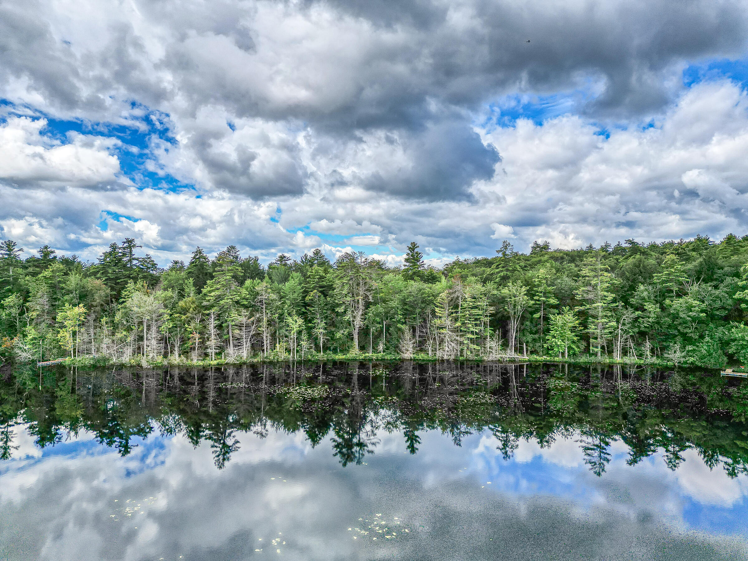 47 Pine Drive Otisfield, ME 04270 - Photo 26 of 29 Moose Pound