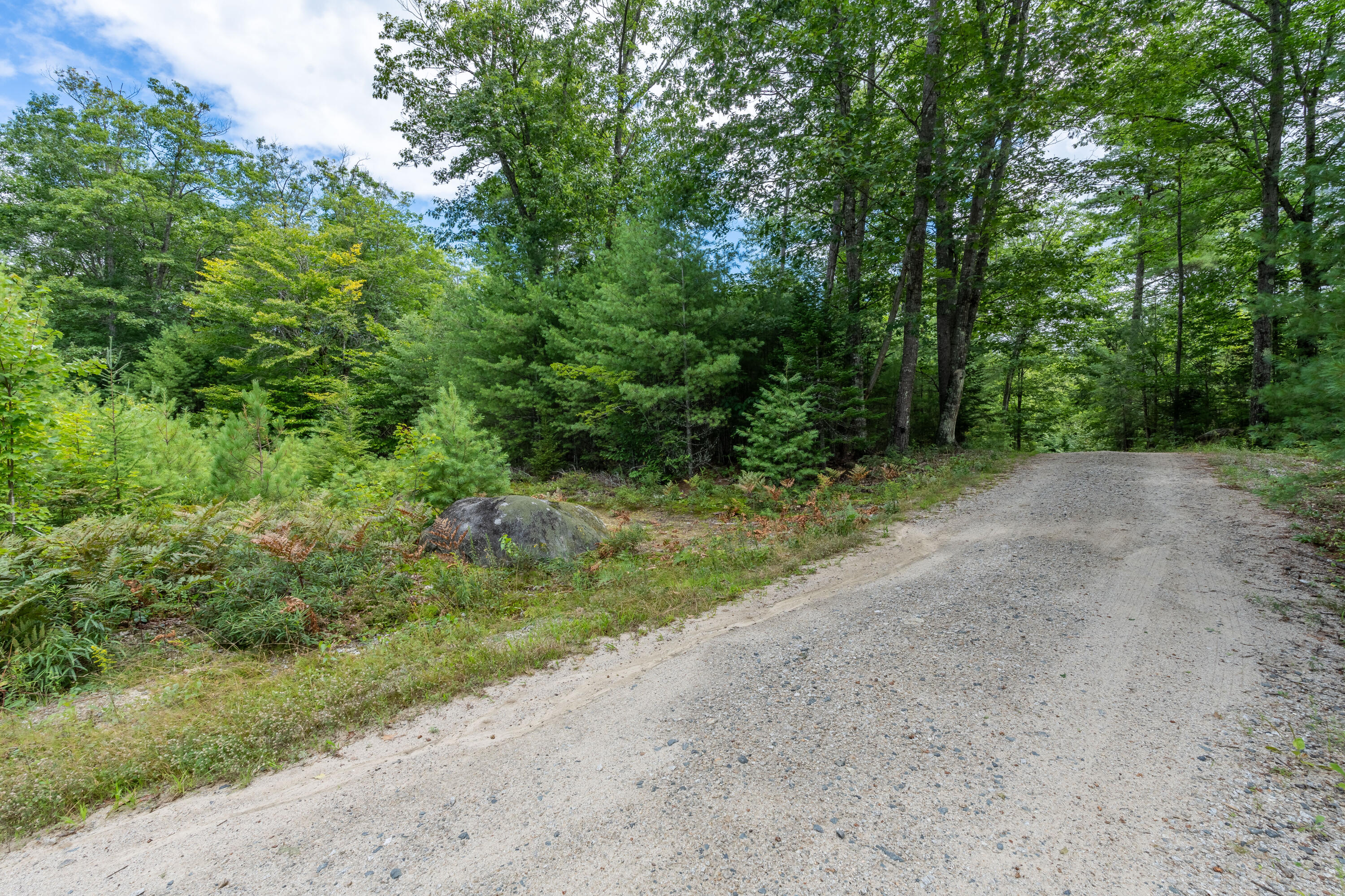 47 Pine Drive Otisfield, ME 04270 - Photo 7 of 29 Shared Driveway