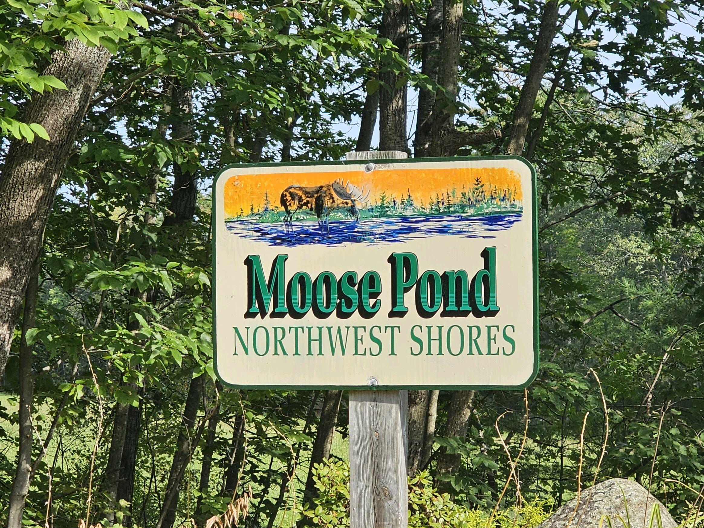 47 Pine Drive Otisfield, ME 04270 - Photo 10 of 29 Moose Pond