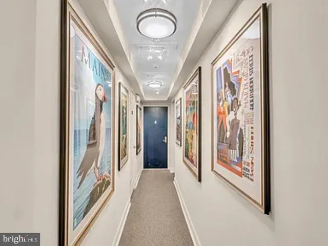 $3,900 | 220 2nd Street Southeast, Unit 103, Washington, DC 20003