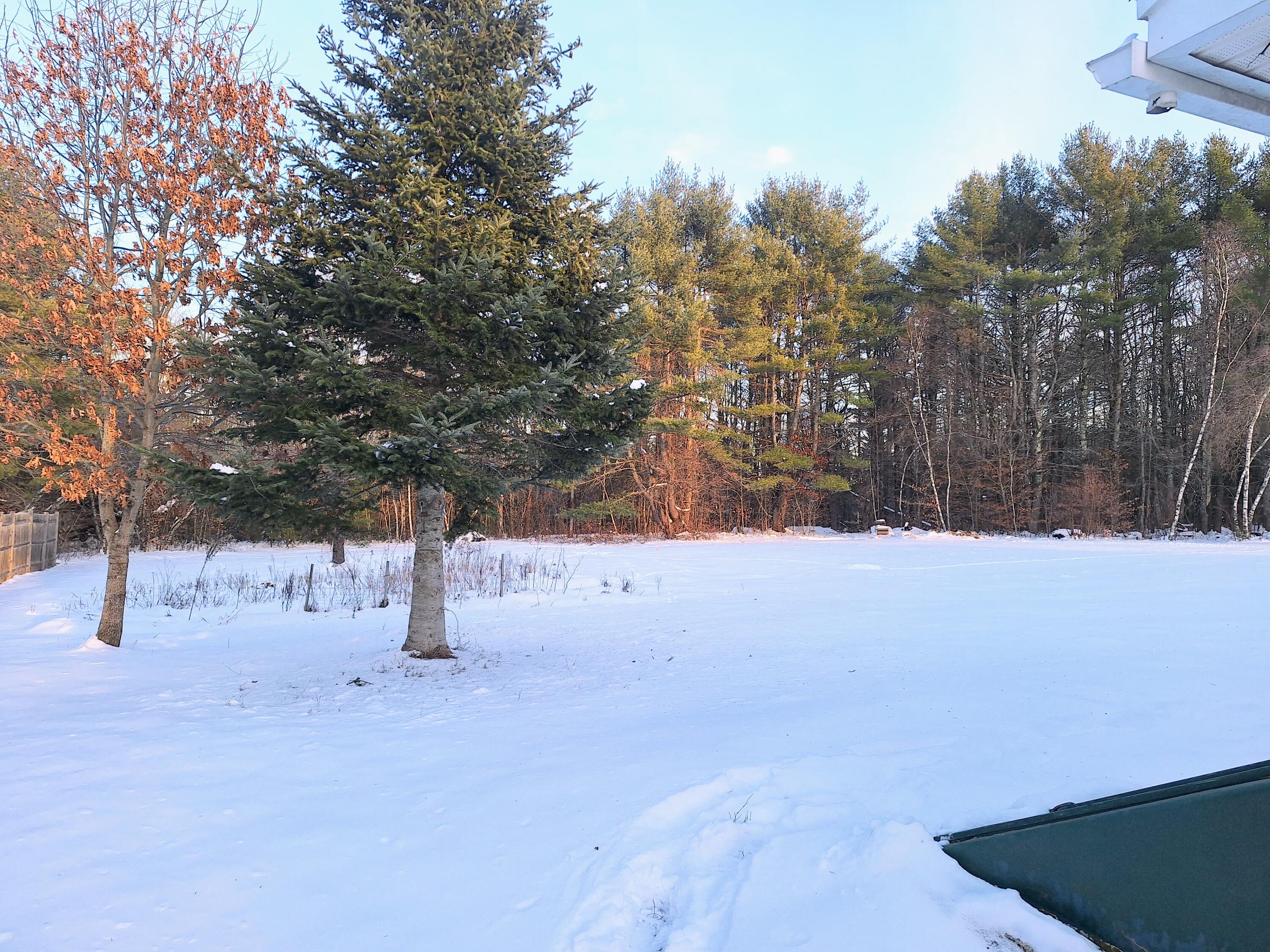 130 Tiger Hill Road Oxford, ME 04270 - Photo 32 of 32 back yard