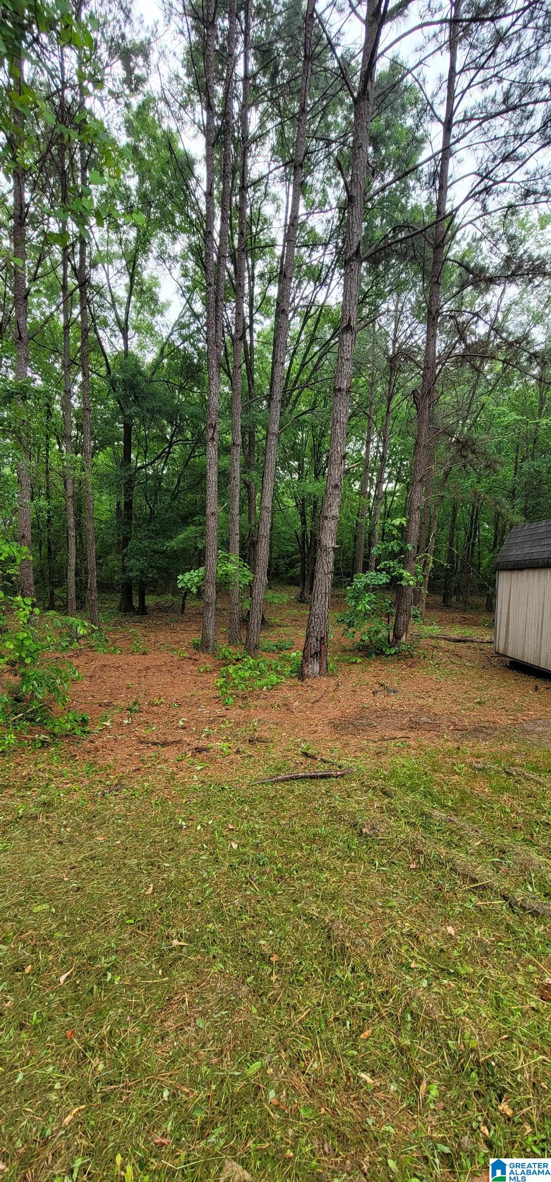 234 Roberts Road Ashville, AL 35953 - Photo 13 of 14