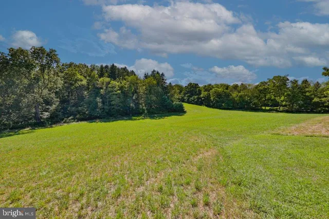 a view of a field with an tree in back