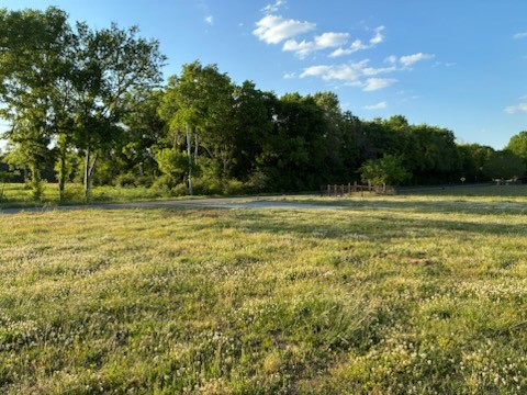 0 Dry Creek Road Mount Pleasant, TN 38474 - Photo 4 of 9 Gallery Image 4