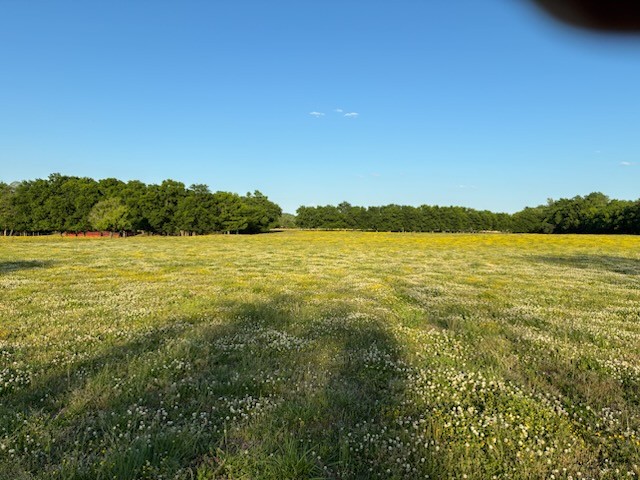 0 Dry Creek Road Mount Pleasant, TN 38474 - Photo 5 of 9 Gallery Image 5