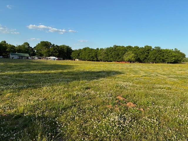 0 Dry Creek Road Mount Pleasant, TN 38474 - Photo 6 of 9 Gallery Image 6