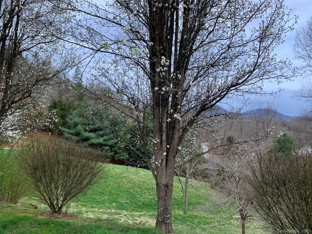 150 Mule Pen Road Sylva, NC 28779 - Photo 14 of 16 Gallery Image 14