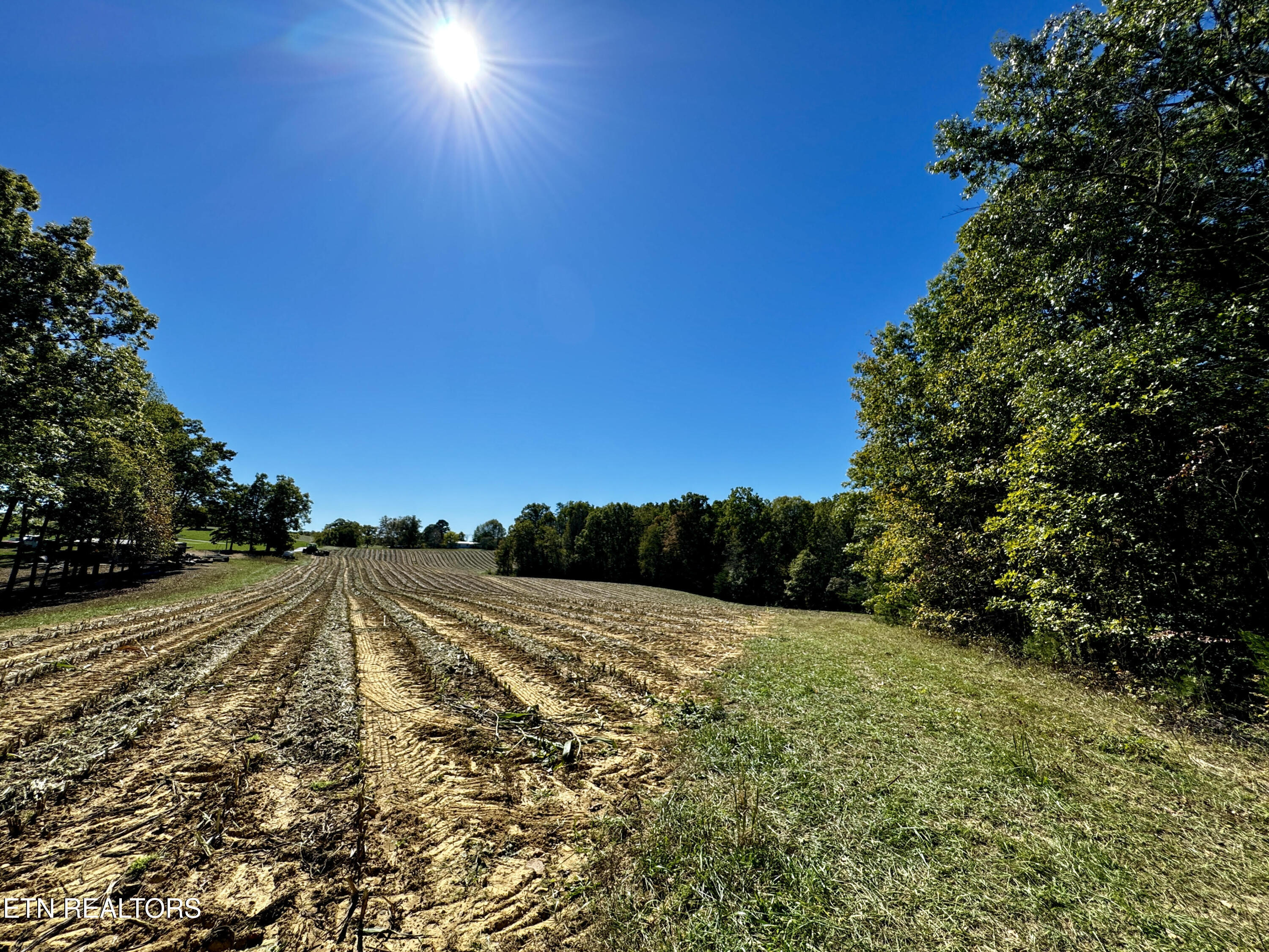 68-acres Muddy Pond Road Monterey, TN 38574 - Photo 11 of 16 unnamed - 2024-10-11T134039.188