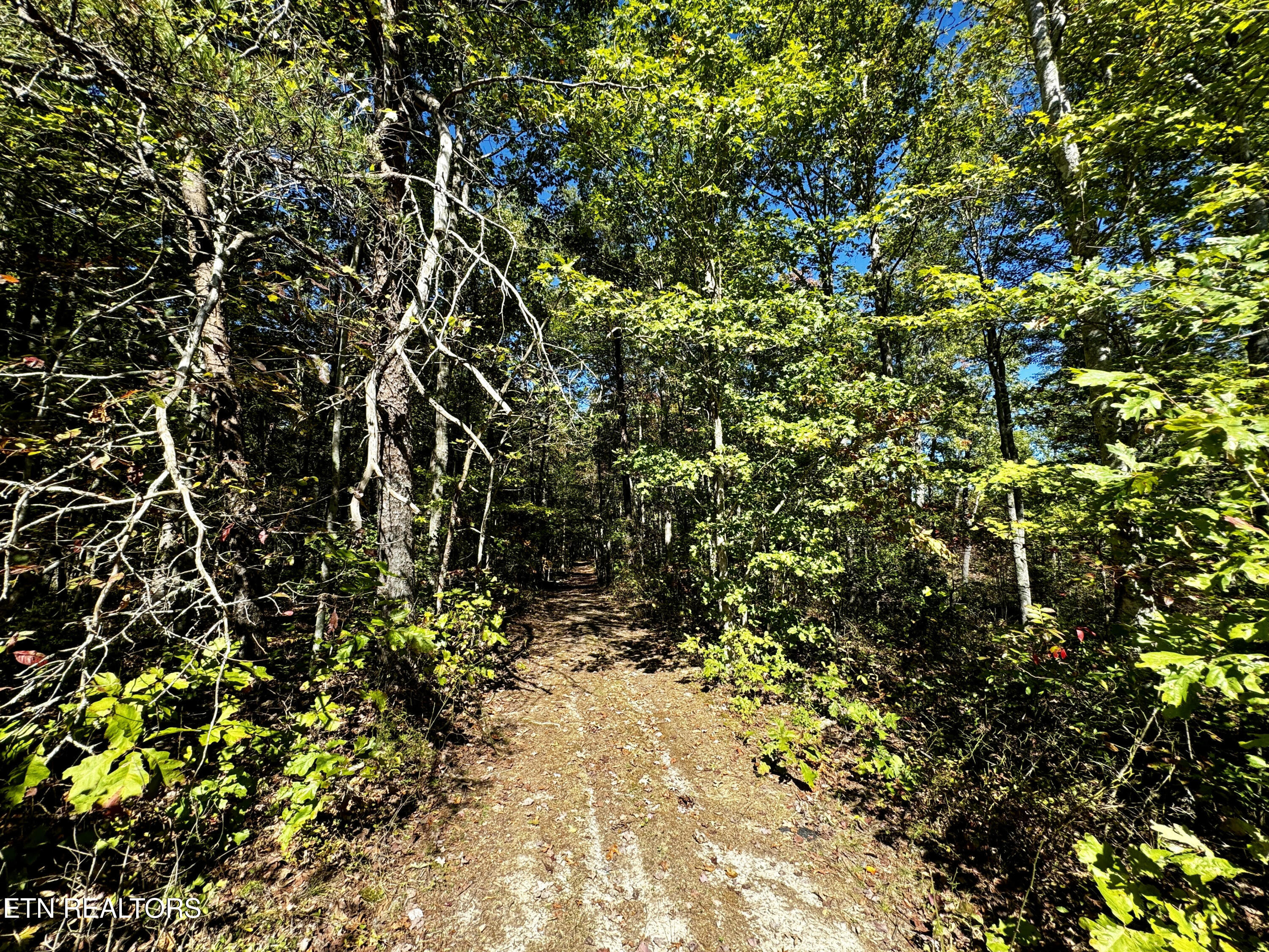 68-acres Muddy Pond Road Monterey, TN 38574 - Photo 14 of 16 unnamed - 2024-10-11T134104.838