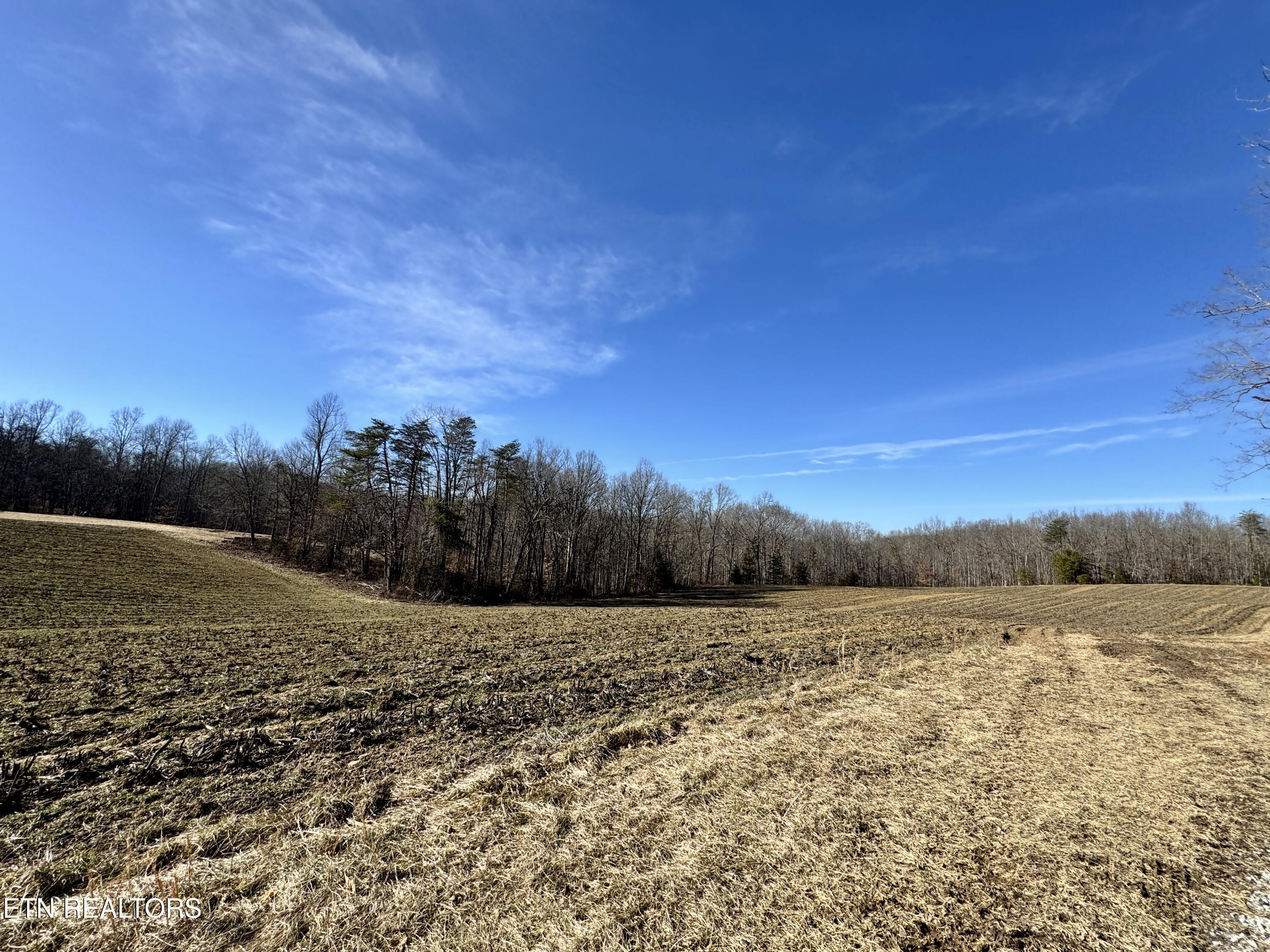 68-acres Muddy Pond Road Monterey, TN 38574 - Photo 6 of 16 IMG_1998