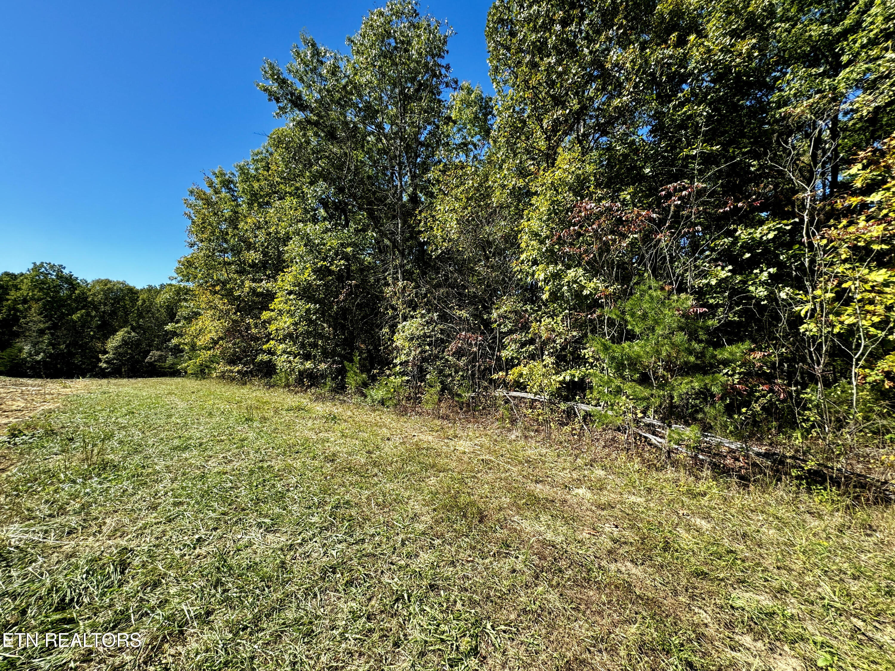 68-acres Muddy Pond Road Monterey, TN 38574 - Photo 10 of 16 unnamed - 2024-10-11T134033.688