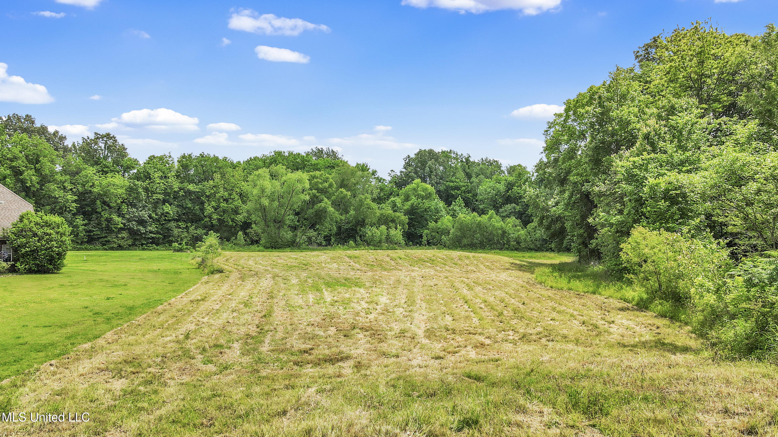 6175 Skyler Road Walls, MS 38680 - Photo 1 of 8 3.15 acre