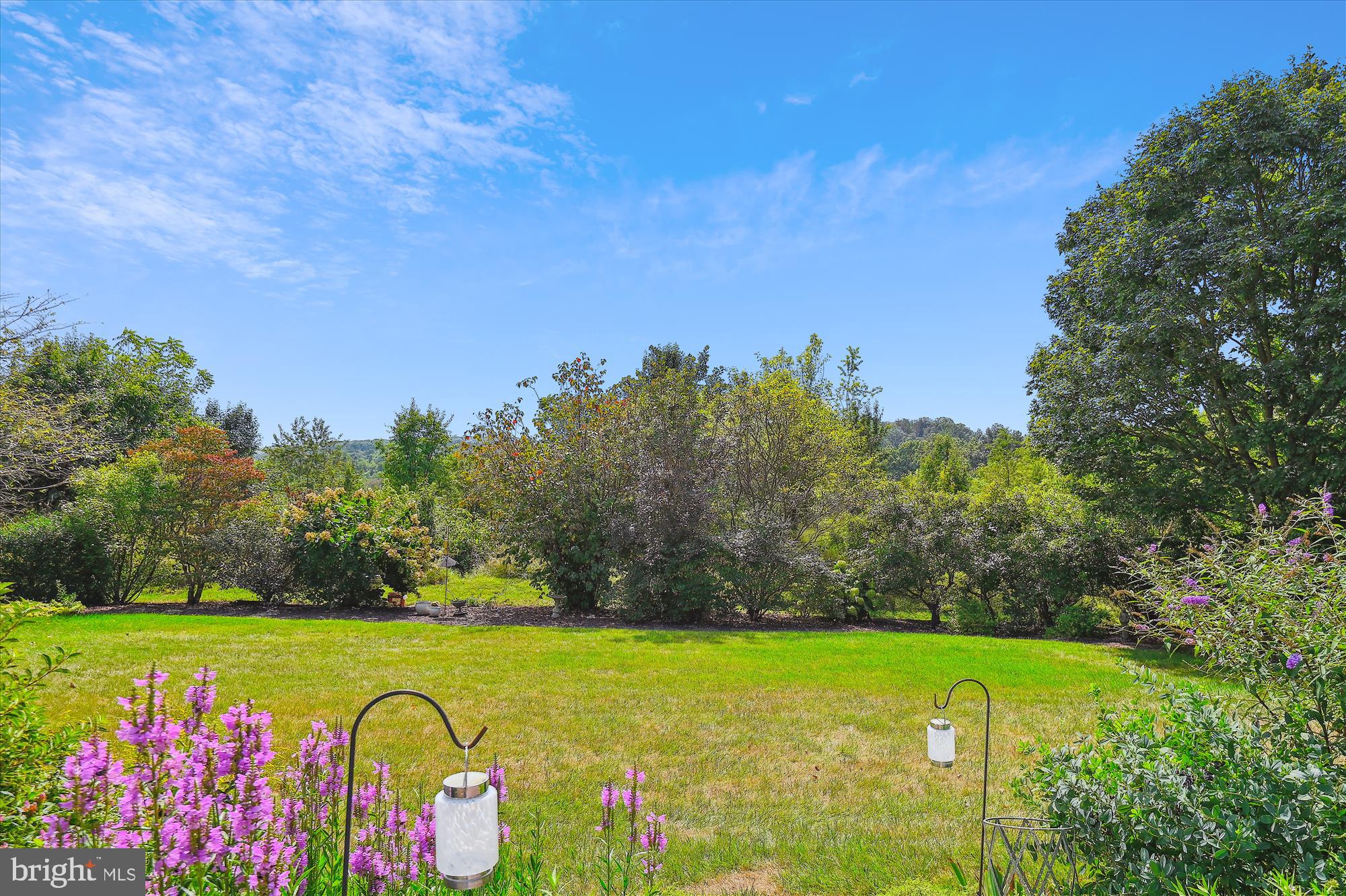 1803 Orwig Road New Freedom, PA 17349 - Photo 66 of 82 Backyard