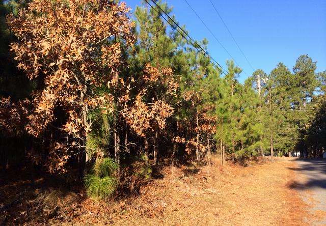 585 Pee Dee Road Southern Pines, NC 28387 - Photo 1 of 2 Treed Lot