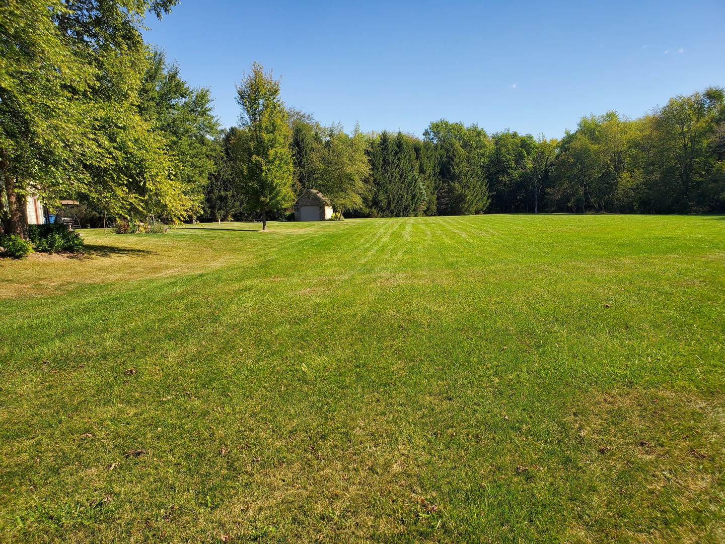 a view of a field with trees in the background