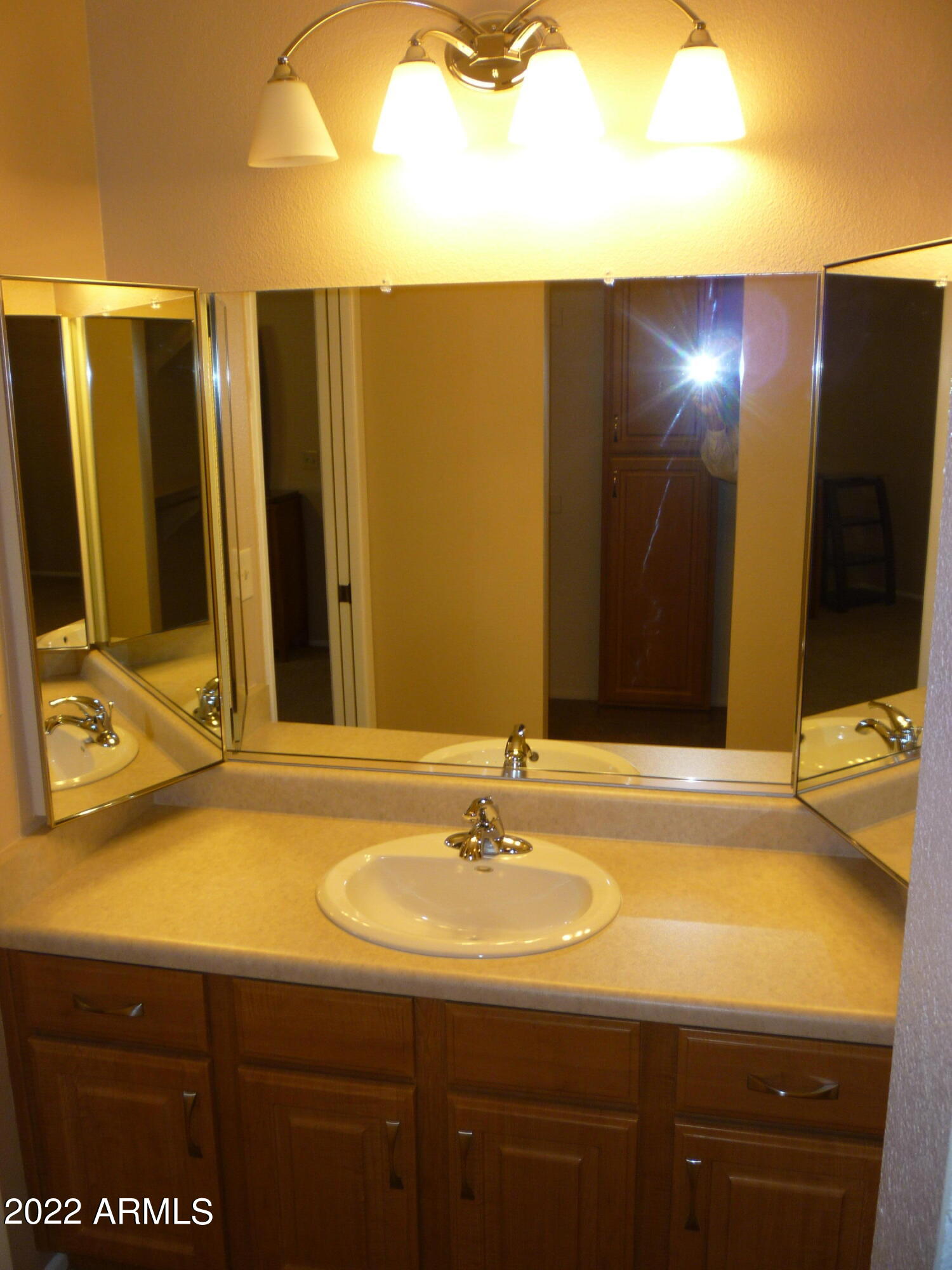 520 South Greenfield Road, Unit 4 Mesa, AZ 85206 - Photo 23 of 36 Master Bathroom