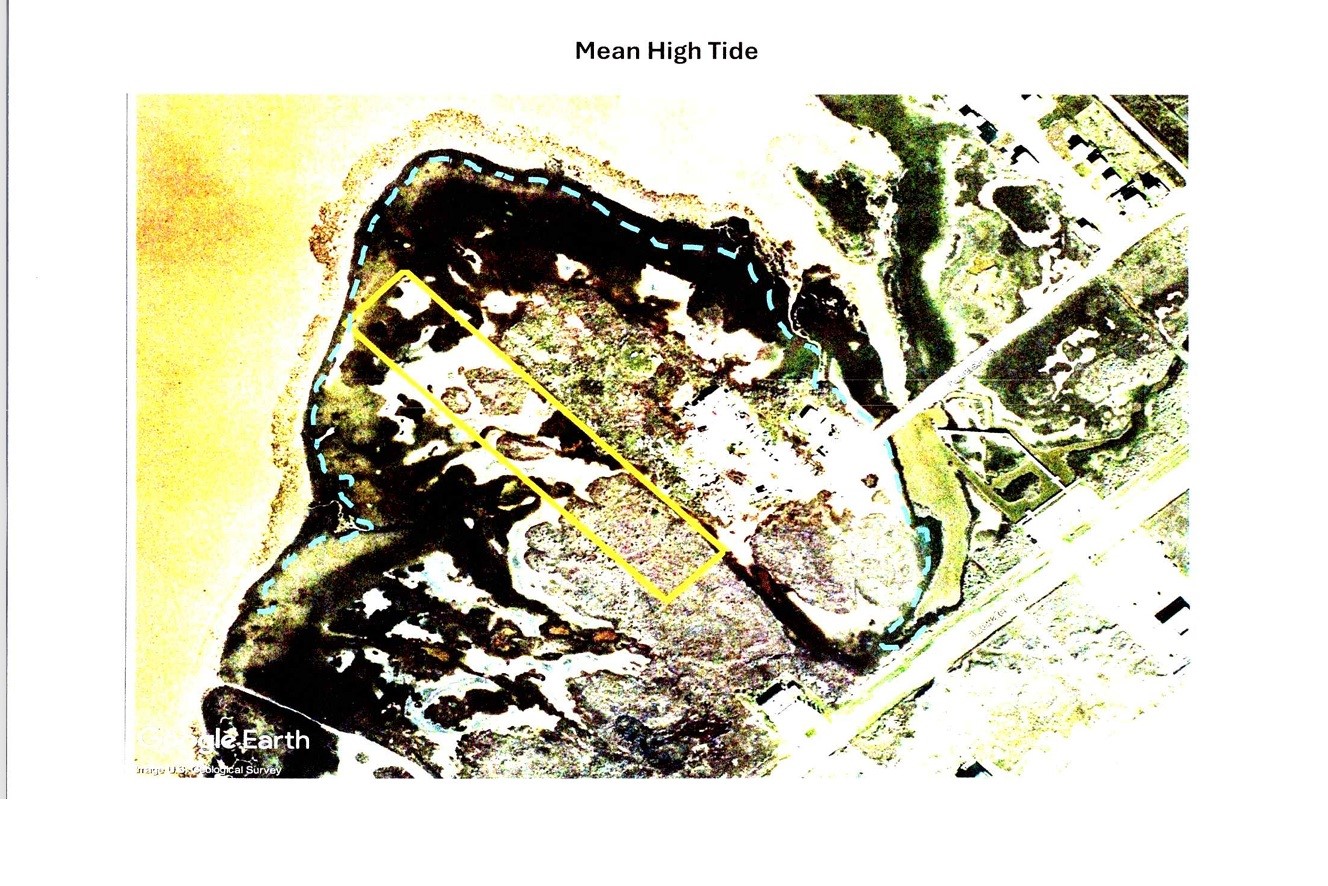 0 Off Anderson Surfside Beach Surfside Beach, TX 77541 - Photo 2 of 4 a picture of a tree