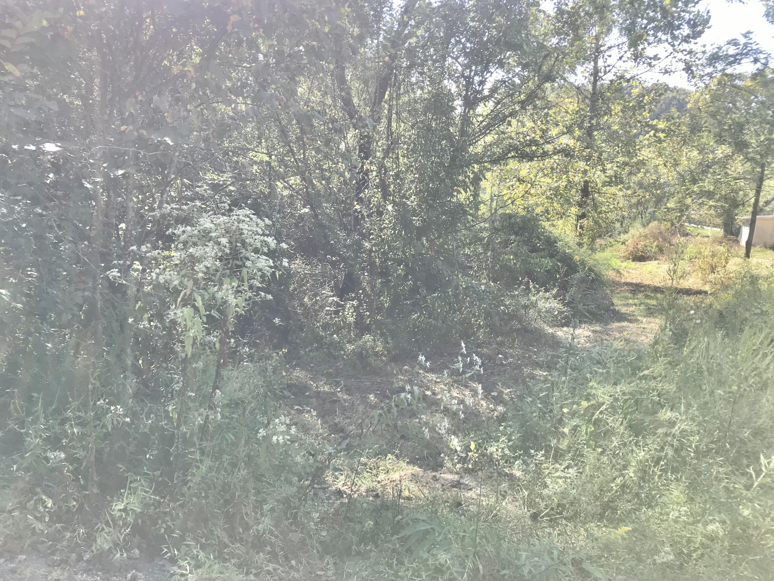 0 Middle Creek Road, Unit 35 ACRES LAND Sandy Hook, KY 41171 - Photo 22 of 47 IMG_7007