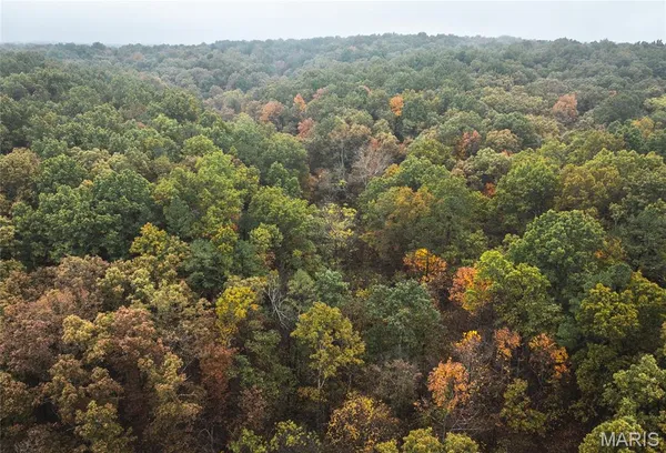 $124,900 | 0 Lodge Tract 5 Road, Potosi, MO 63664
